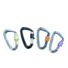 Aluminum Carabiner Clips 5 Pack  D Shape, Keychain Buckles D-Ring Locking Carabiner Light but Strong